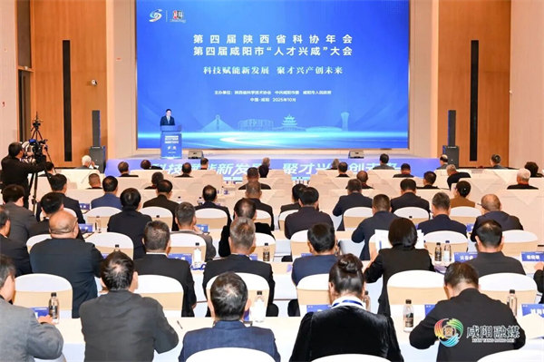 Ƽδ28๫˾ҫĽС˲̡ᣡ